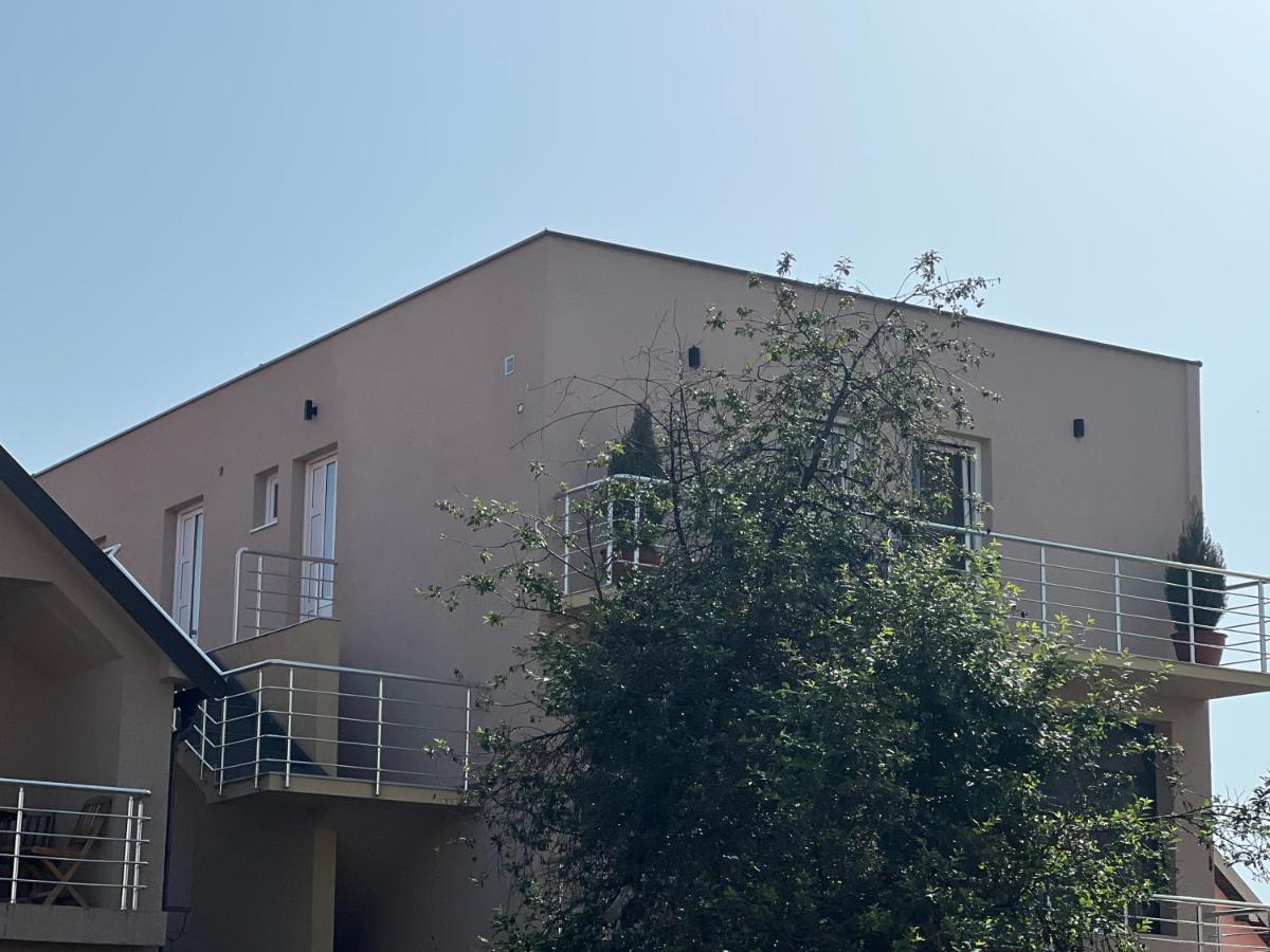 Apartman Scepanovic Nikšić Bagian luar foto